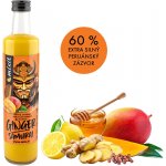 Mixit Ginger Samuraj Zázvorový nápoj s mangem 0,5 kg – Sleviste.cz
