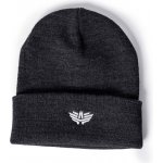 Iron Aesthetics Winter Beanie charcoal – Zboží Mobilmania