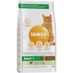 Iams Cat Adult Lamb 2 kg – Hledejceny.cz