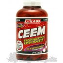 XXtreme Nutrition CEEM 240 kapslí