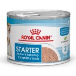 Royal Canin Starter Mother & Babydog Ultra Soft Mousse 195 g – Zbozi.Blesk.cz