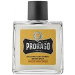 Proraso Wood & Spice balzám na vousy 100 ml – Sleviste.cz