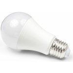 BERGE LED žárovka E27 - A60 - 15W - 1240Lm - studená bílá MZ0215 – Hledejceny.cz