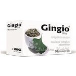 GINGIO POR 40MG TBL FLM 90 – Zboží Dáma