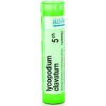 LYCOPODIUM CLAVATUM POR 5CH GRA 1X4G – Hledejceny.cz
