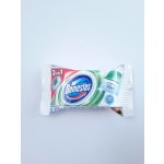 Domestos WC blok Pine náplň 40 g – Zboží Mobilmania