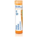 ARNICA MONTANA POR 15CH GRA 4G