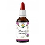 Salvia Paradise Ostropestřec mariánský AF tinktura 50 ml – Hledejceny.cz