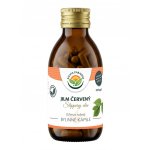 Salvia Paradise Jilm červený 120 ks – Hledejceny.cz