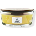 WoodWick Seaside Mimosa 453,6 g – Hledejceny.cz