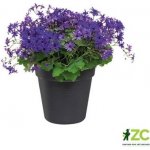 Elho žardina Green Basics Bowl 27 cm living black – Zboží Dáma