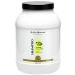 San Bernard citrónový 500 ml – Zboží Dáma