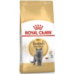 Royal Canin BritISH Kitten Shorth 10 kg – Hledejceny.cz