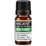 Ancient Tea Tree Esenciální Olej 10 ml – Hledejceny.cz