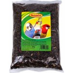 AVICENTRA slunečnice černá 500 g – Zboží Dáma