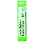 CAULOPHYLLUM THALICTROIDES POR 5CH GRA 1X4G – Hledejceny.cz