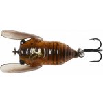 Savage Gear 3D Cicada 3,3cm Brown – Sleviste.cz