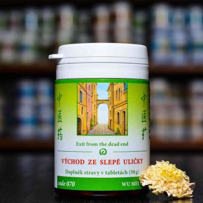 TCM Herbs Východ ze slepé uličky 070 100 tablet – Hledejceny.cz