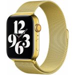 Eternico Elegance Milanese pro Apple Watch 38mm / 40mm / 41mm / 42mm gold AET-AWMNS-go-38 – Zboží Živě