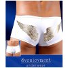 Pánské erotické prádlo Svenjoyment Underwear Men Pants - Angelo