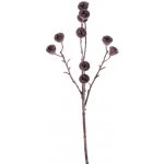 Sušené plody eukalyptu větvička umělá, 63cm – Zboží Mobilmania