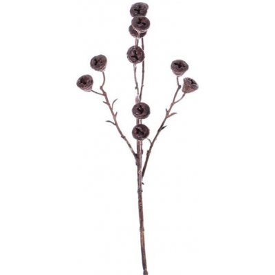 Sušené plody eukalyptu větvička umělá, 63cm – Zboží Mobilmania