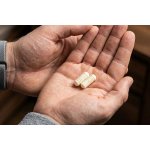 Prom-in L-carnitine 240 kapslí – Hledejceny.cz