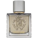 Roberto Cavalli Uomo Silver Essence toaletní voda pánská 60 ml – Hledejceny.cz