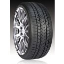 Gripmax Status Pro Winter 225/45 R17 94V