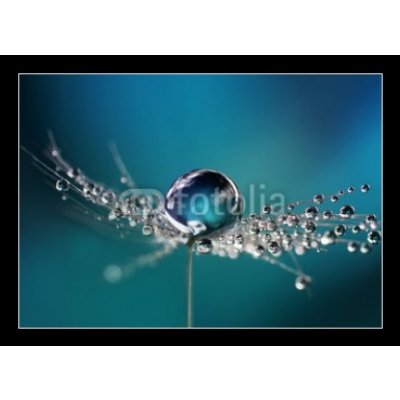 Skleněný obraz 1D - 100 x 70 cm - Beautiful dew drops on a dandelion seed macro. Beautiful soft light blue and violet background. Water drops on a parachutes dandelion o