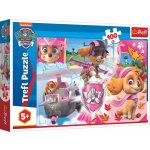 Trefl Paw Patrol Tlapková patrola Skye v akci 16368 100 dílků – Zbozi.Blesk.cz