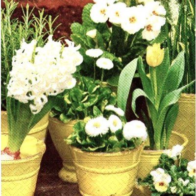 Ubrousek 33x33 cm JARO – Sleviste.cz