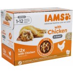 Iams Delights kitten kuře v omáčce 12 x 85 g – Sleviste.cz