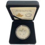 Royal Canadian Mint stříbrná mince Maple Leaf Ultra High Relief 2022 1 oz – Zbozi.Blesk.cz