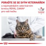 Royal Canin Veterinary Diet Cat Renal Feline 2 kg – Sleviste.cz