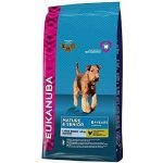 Eukanuba Dog Laege Mature & Senior 15 kg – Hledejceny.cz