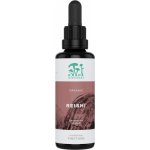KÄÄPÄ Mushrooms Reishi BIO tinktura 30 ml – Hledejceny.cz