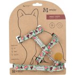 Amiplay Kšíry pro kočku s vodítkem BeHappyCat Watermelon M – Sleviste.cz