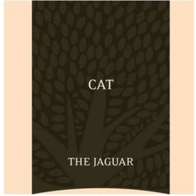 Essential Foods Cat The Jaguar 4 x 3 kg – Zboží Mobilmania