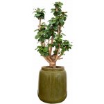Ter Steege Váza Nine olive green D21 H23 – Hledejceny.cz