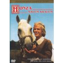 Honza málem králem DVD