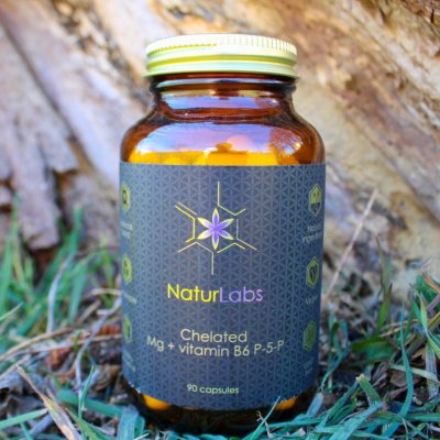 NaturLabs hořčík chelátový + vitamín B6 90 kapslí – Hledejceny.cz