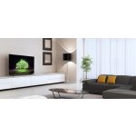 LG OLED48A13LA – Sleviste.cz