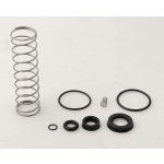 Silfra Náhradní sada těsnění a pružinek ke QK100-110 RI05800 – Zboží Mobilmania