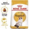 Granule pro kočky Royal Canin Ragdoll Adult granule pro Ragdoll kočky 2 x 10 kg