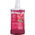 Natura Siberica Přírodní s limonníkem nanai a brusinkami 520 ml – Sleviste.cz