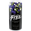 Cider FIZZ Blueberry cider 0,5 l (plech)