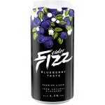 FIZZ Blueberry cider 0,5 l (plech) – Hledejceny.cz