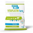 BIOVETA IVANOVICE NA HANE Vitaplastin forte plv 1 kg