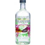 Absolut GRAPEVINE 1 l (holá láhev) – Hledejceny.cz
